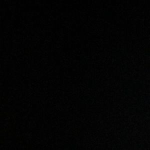 Meet your Posher, Shane